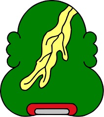 GLIFO (Fuente: Docsity)
